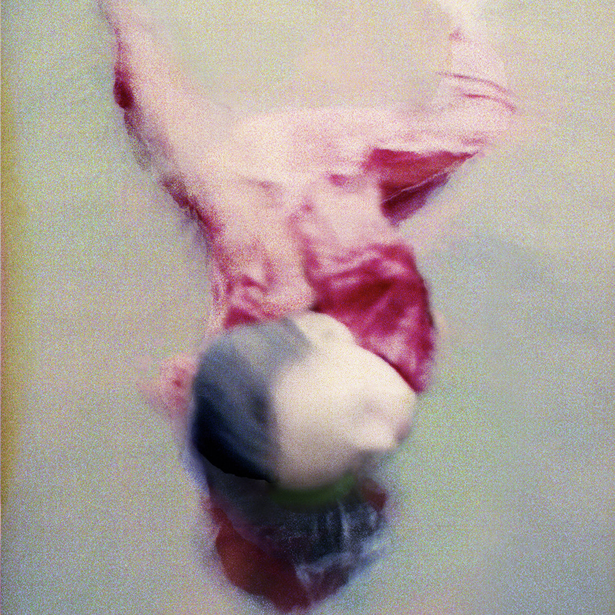 CHIHEI HATAKEYAMA - LUCID DREAMS