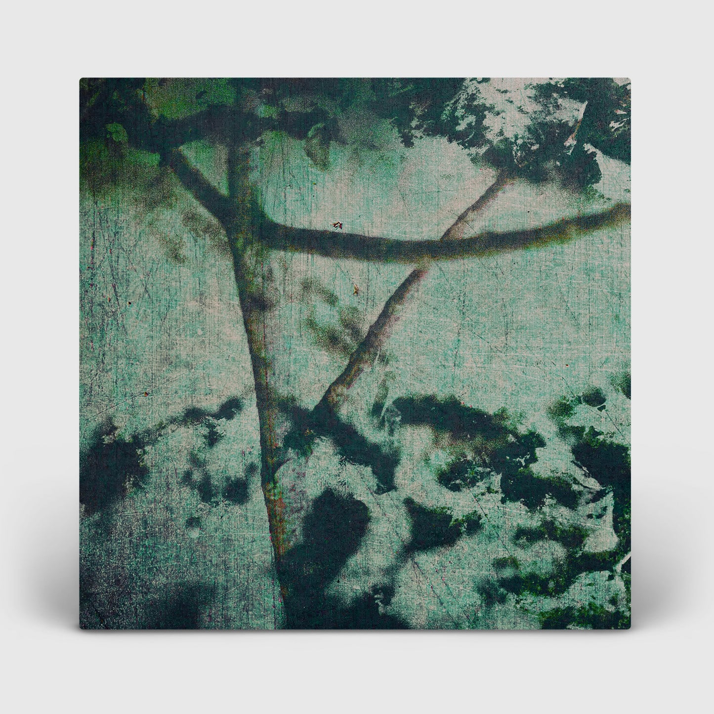 GYROFIELD - SUSPENSION OF BELIEF