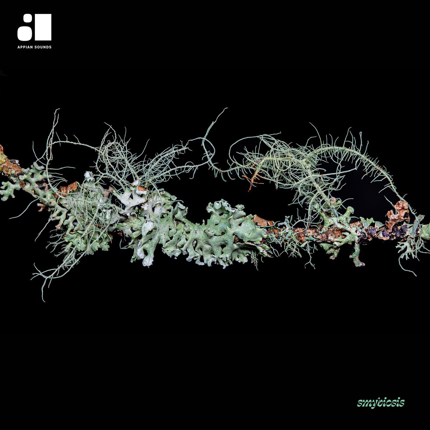 VARIOUS ARTISTS - SYMBIOSIS