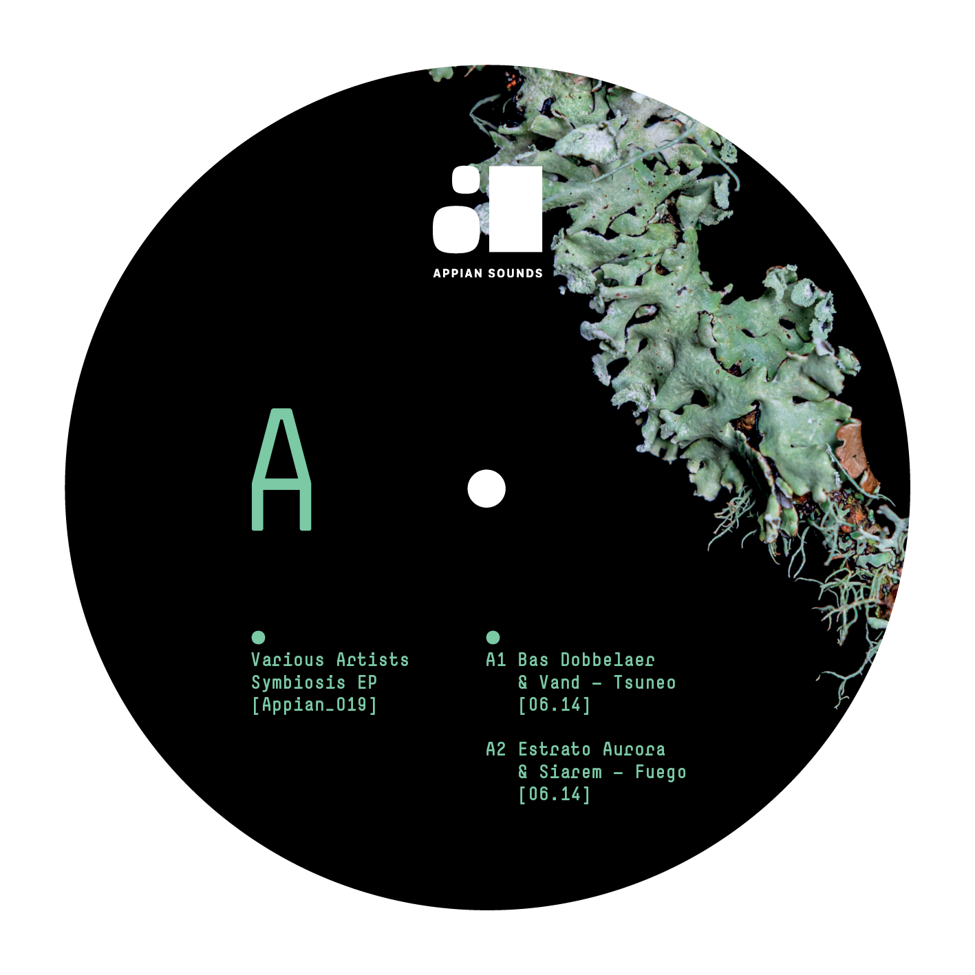 VARIOUS ARTISTS - SYMBIOSIS