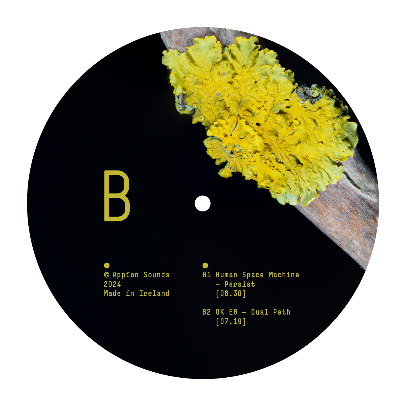 VARIOUS ARTISTS - SYMBIOSIS