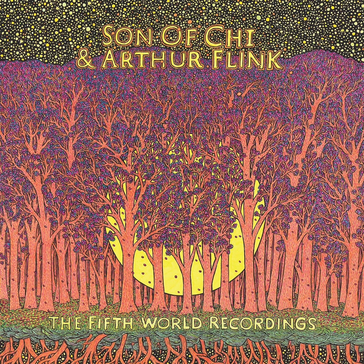 SON OF CHI & ARTHUR FLINK - THE FIFTH WORLD RECORDINGS