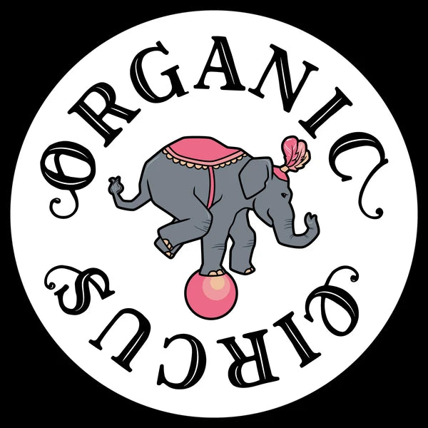 PAUL LOOTVOET - COLETTE NIGHT STORY