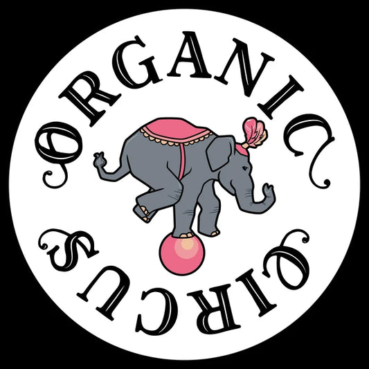 PAUL LOOTVOET - COLETTE NIGHT STORY