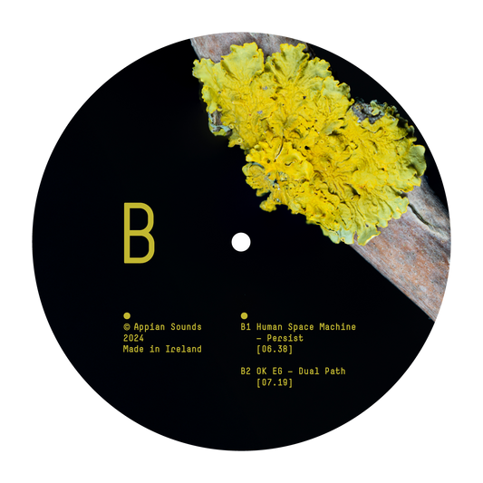 VARIOUS ARTISTS - SYMBIOSIS