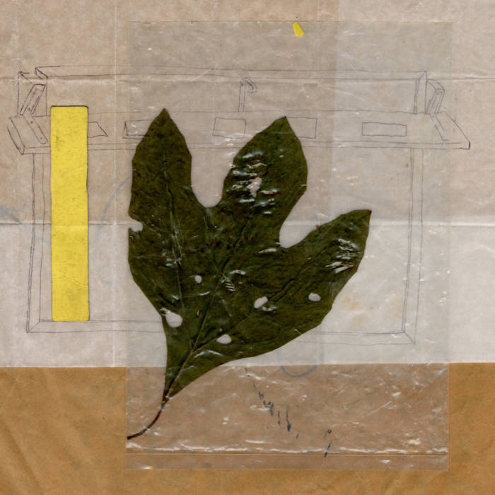 ZANDER RAYMOND - COURAGE LEFT IN A TREE