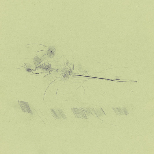 FRANCIS PLAGNE - ASLEEP IN A BLEACHED BOAT