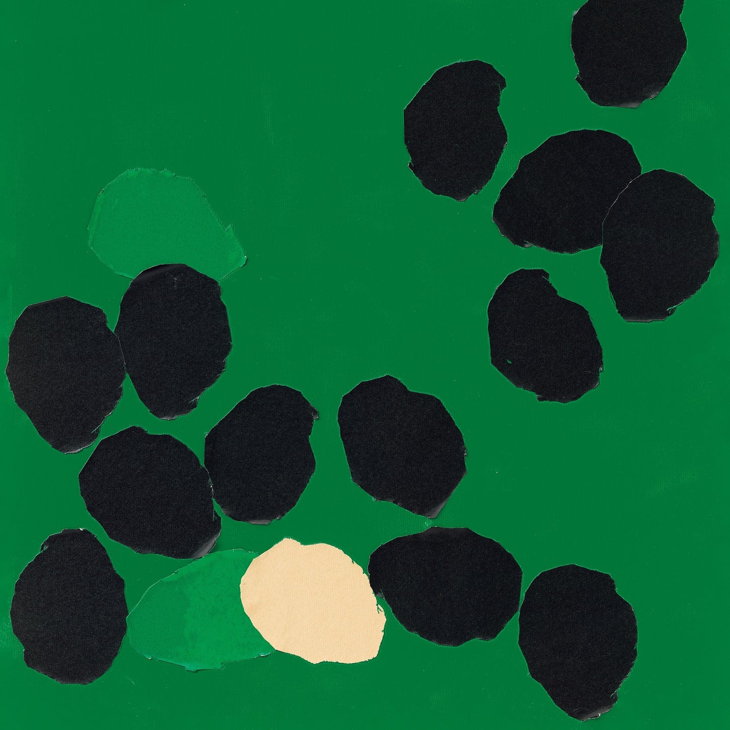 WILL SAMSON - SONGS OF BEGINNING AND BELONGING