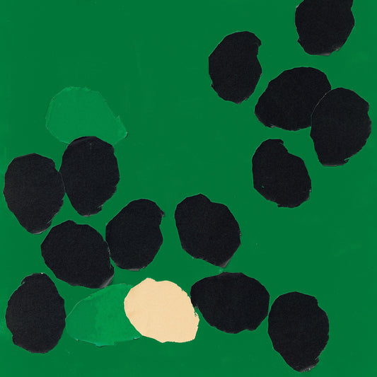 WILL SAMSON - SONGS OF BEGINNING AND BELONGING