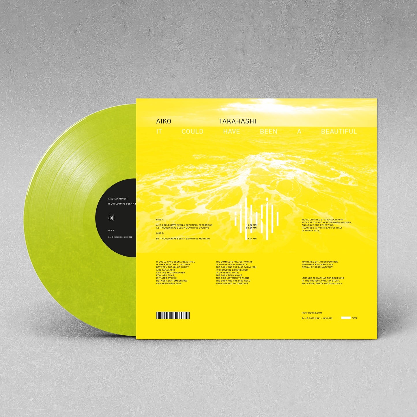 AIKO TAKAHASHI - IT COULD HAVE BEEN A BEAUTIFUL